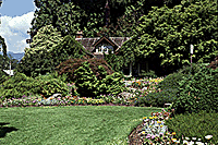 Plantskydd deer repellent protects ornamentals.