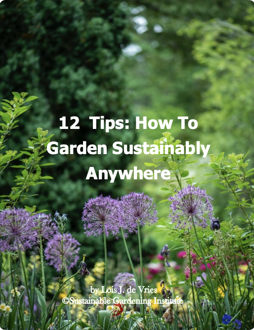 Learn to garden sustainably