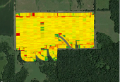 Image of full field application at VC & V3 growth stage.